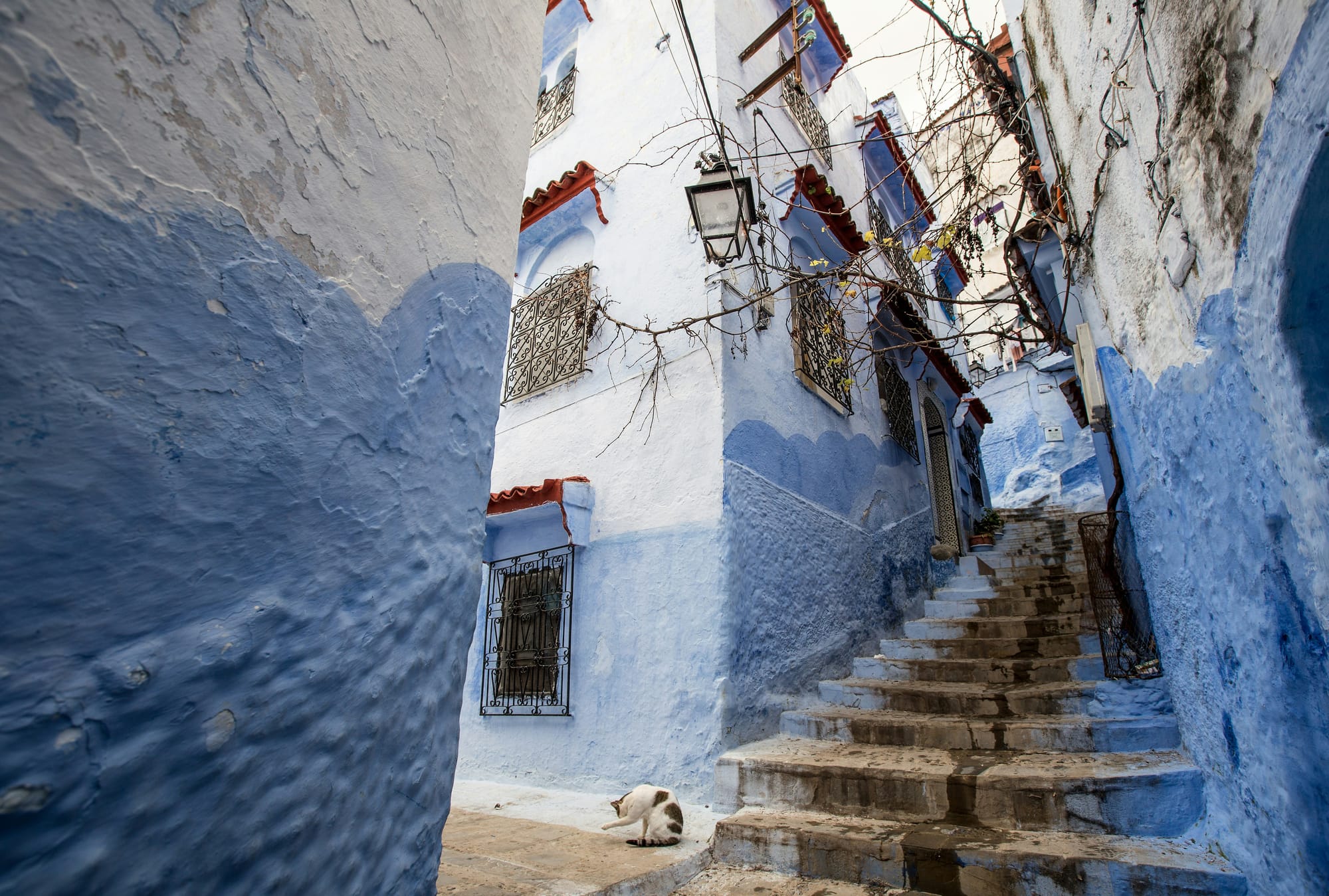 Chefchaouen → Rabat